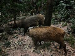 -浙江自然博物院(杭州馆)