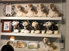 -TrueLove @ Neverland (Husky Cafe)