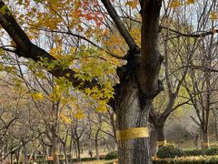 -元大都城垣遗址公园