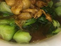 -东豪园林海鲜酒家(南港路辅路店)