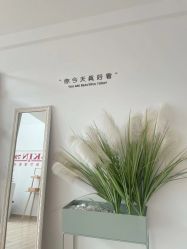 -skin79皮肤管理基站
