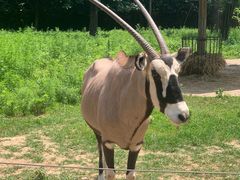 -大连森林动物园