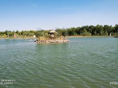 -金塔沙漠胡杨林景区
