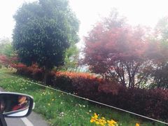 -羡餐厅·杭帮菜·淳菜(千岛湖自由洲际殿店)
