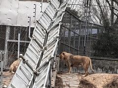 -石家庄市动物园