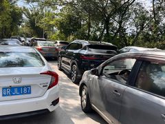 -洲心明记烧肉大粥(总店)