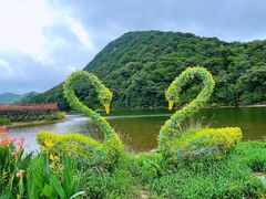 -广州市石门国家森林公园