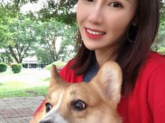 -创凡宠物医院·骨专科  猫科中心(西乡分院)