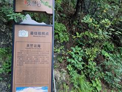 -秦岭天竺山生态文化旅游景区