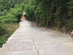 -仙岳公园