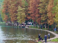 -重庆彩云湖湿地公园