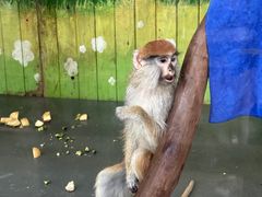 -广州长隆野生动物世界