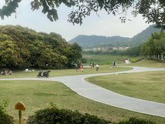 -风云岭森林公园