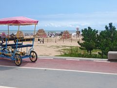 -日照海滨国家森林公园