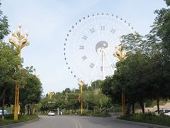 -特克斯八卦城