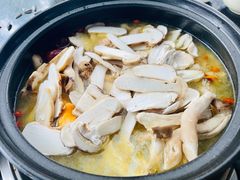 -蘑统田下·野生菌火锅