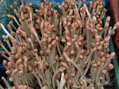 -南坛综合农贸市场