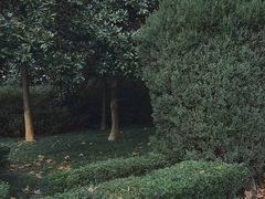 -蠡湖中央公园