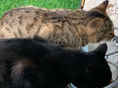 -UNIUNI(凯瑟琳广场店)