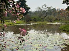 -中国科学院西双版纳热带植物园