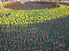 -长春公园(普阳街道)