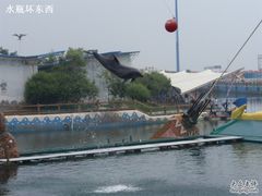 -秦皇岛乐岛海洋王国