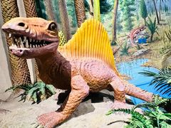 -甘肃地质博物馆