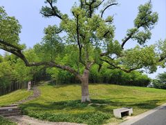 -良渚古城遗址公园