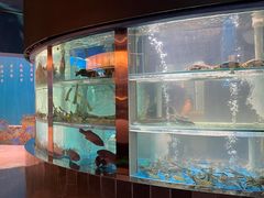 -1718海鲜姿造(苏宁宴请臻选店)
