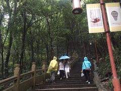 -普陀山慧济禅寺