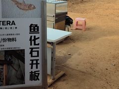 -房山世界地质公园博物馆