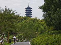 -宜兴龙背山森林公园