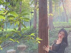 -东明山森林公园