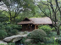 -中国茶叶博物馆(双峰馆区)