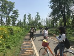 -三圣花乡旅游区