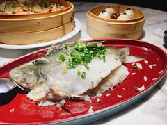-钟菜·粤菜点心·宴请(海上世界·汇港二期店)