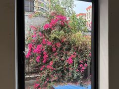 -素咫咖啡CLIFEROSE(新安店)