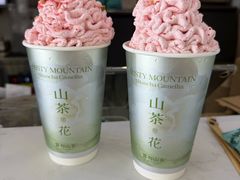 -雾与山茶(大禹城店)