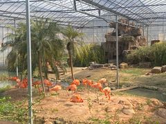 -无锡动物园·太湖欢乐园