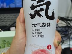元气森林卡曼橘味苏打气泡水-良品铺子(武陵大道店)