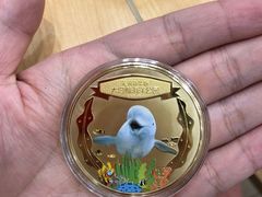 -芜湖新华联大白鲸海洋公园