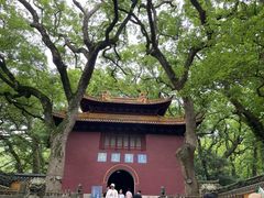 -普陀山风景名胜区-法雨禅寺