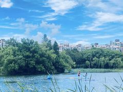 -新江湾城公园