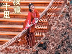 -少华山国家森林公园