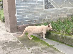 -宝光寺