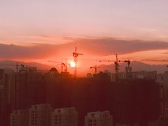 -金鸡山公园