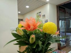 点击看大图 -亚太瑜伽普拉提学院