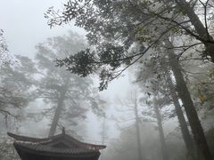 -峨眉山风景名胜区