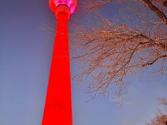 -中央广播电视塔