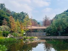 -云溪植物园